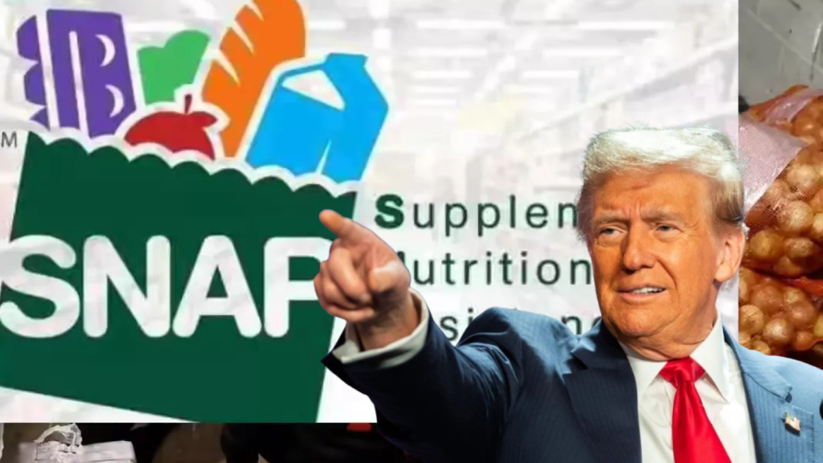 Top 5 Most Impactful U.S. Government Assistance Programs in 2025